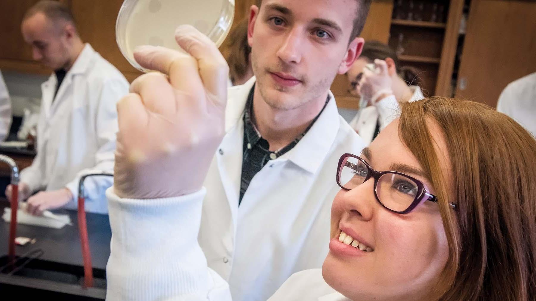 两个学生在生物实验室检查一个培养皿